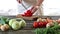 Woman slice vegetables. Woman slice paprika on wooden table