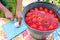 Woman slices horseradish for preservation of tomatoes