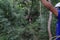 Woman sliding on a zip line in an adventure park