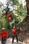 Woman sliding on a zip line in an adventure park