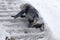 A woman slipped on the snow-covered stairs and fell