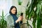 Woman with smartphone taking photo of the leaf diseases Dracaena palm