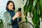 Woman with smartphone taking photo of the leaf diseases Dracaena palm