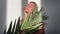 Woman with smooth skin holding tropical leaf and posing against t shadows