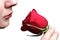 Woman sniffing red rose