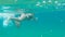 Woman snorkeling in amazing sea