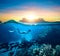 Woman snorkeling in clear tropical waters ocean on sunset day