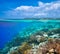 A woman snorkeling near the beautiful coral reef with lots of fi