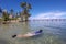 Woman snorkeling in a tropical resort in Fiji