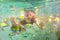 Woman snorkeling underwater in sea