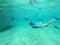 Woman snorkelling with giant trevally fish in Rarotonga Cook Isl