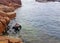 Woman Snorkelling in a Tidal Rock Pool