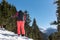 Woman with snow rackets in snowy landscape in snow landscape with trees in Ransol, Canillo