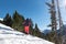 Woman with snow rackets in snowy landscape in snow landscape with trees in Ransol, Canillo