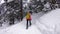 Woman snowshoeing in winter forest with snow covered trees on snowy day. People hike in snow hiking in snowshoes.