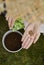 Woman sows herbs in a pot. the model spills the seeds onto her hand