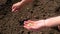 a woman sows seeds in a vegetable garden. Selective focus.