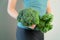 Woman in sport wear holding broccoli and kale. Healthy lifestyle, Woman eating healthy food, dieting