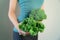 Woman in sport wear holding broccoli and kale. Healthy lifestyle, Woman eating healthy food, dieting