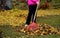 Woman in sports jacket rake red rake. The leaves serve as mulch in a circle under trees and shrubs. composting leaves in wood comp