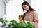 Woman spraying home plant with pure water from spray bottle