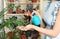 Woman spraying indoor plants at home