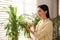 Woman spraying leaves of house plants indoors