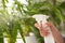 Woman spraying leaves of house plants indoors, closeup