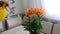 Woman sprays potted orange lily