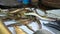 The woman spreads a large number of eels on a counter. Fresh fish on a market counter in Vietnam. The fish market in