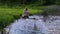 Woman squat on stone, run boat fast flowing river in park