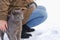 Woman squatting play with a gray cat in a snowy backyard. Pets, comfort, christmas, winter and people concept young woman with cat