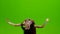 Woman standing back in costume with ornaments dancing belly dance. Green screen. Slow motion