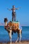 Woman Standing on a Camel on a ocean background