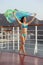 Woman standing on deck of cruise ship