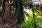 Woman standing beside a giant palm tree leaf