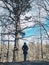 Woman standing in the woods park by large old tree. Person hiking on trail in wild forest on a spring summer autumn day. Solo