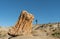 Woman Stands Behind Large Petrified Stump