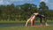 Woman Stands in Yoga Pose on Grass Shore near Lake