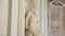 Woman statue. White marble head of young woman Artemis. White marble head of young woman