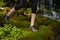 Woman stepping on soft moss