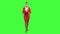 Woman steps along with a red folder in her hands. Green screen