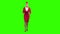 Woman steps with a red folder in her hands . Green screen. Slow motion