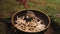 A woman is stirring fried mushrooms with a spoon in a frying pan on the coals