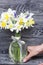 A woman straightens a bouquet of ordinary and terry daffodils standing in a bottle. A ribbon bow is tied to the neck of the bottle