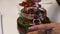 A woman straightens a spoon of dried tomatoes in a jar. It has a branch of rosemary, garlic and spices. Poured with olive oil