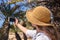 Woman in the straw hat taking selfie picture or video using smartphone in the palm forest. Seychelles islands.