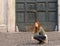 Woman on the street sitting