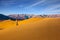 Woman in striped shirt photographing sand waves