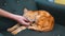 Woman Stroking a Red Egyptian Cat Lying on the Chair